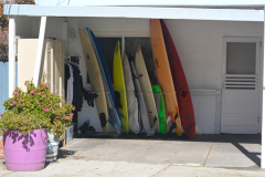 Surfboards - Gault House