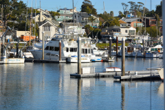 C_Harbor-Boats_1