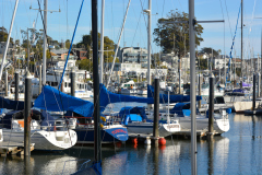 C_Harbor-Boats_2